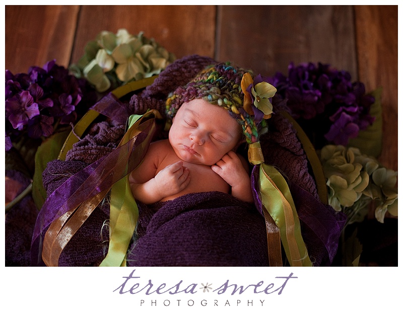 RI newborn photographer, RI baby photographer, RI child photographer, RI family photographer