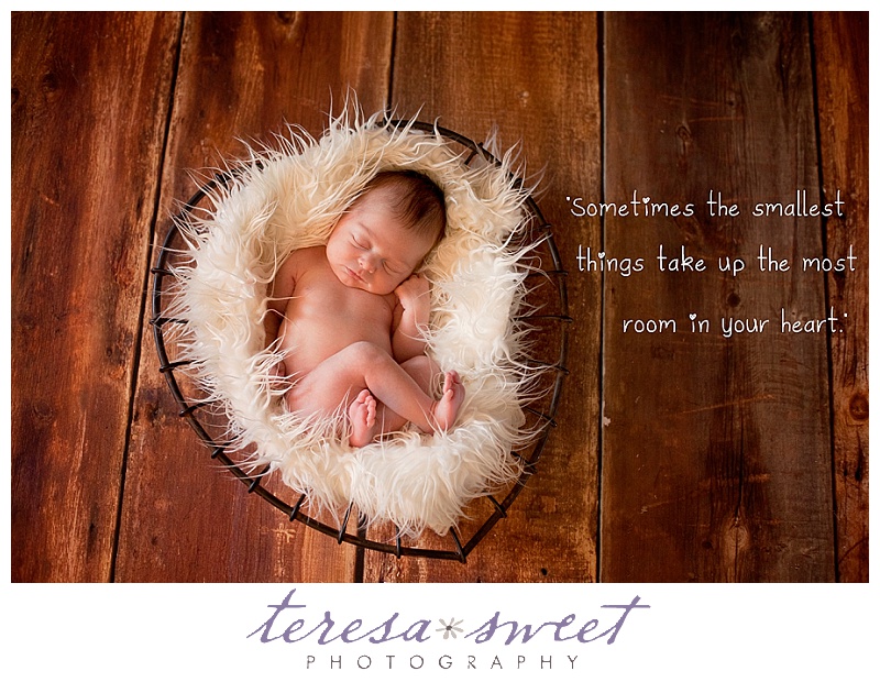 RI baby photography, RI newborn photographer, RI child photographer, RI family photographer