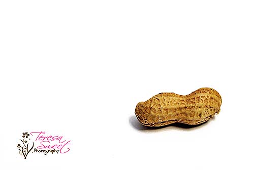 who-are-you-002-web1