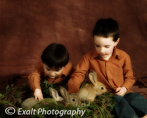 Playing w/ the bunnies
