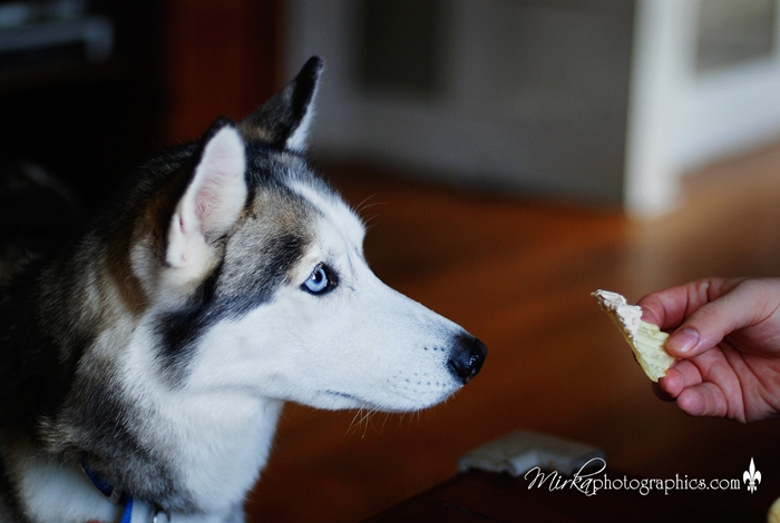 38166dsc_0023cp 38166dsc_0023cp