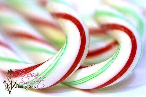 candy-canes-016-web candy-canes-016-web