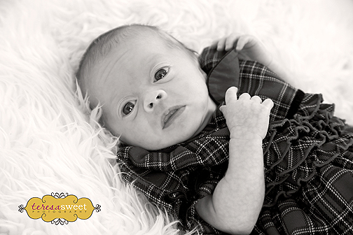 IMG_2692 (B&W) IMG_2692 (B&W)