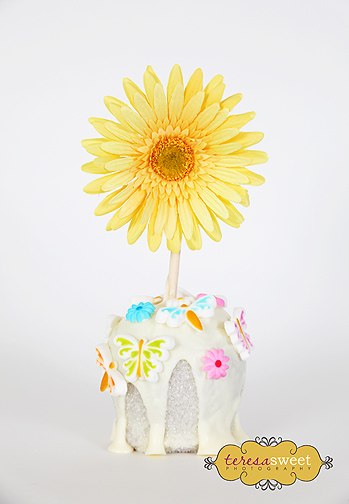 Mother's Day, Thinking of You, etc... (Sugar Coated White Chocolate Apple)