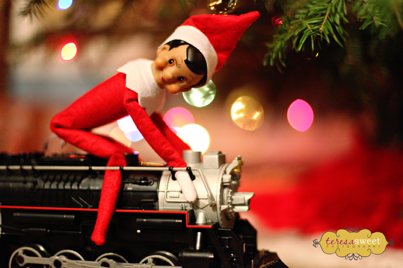 Fisbee, our Elf on the Shelf