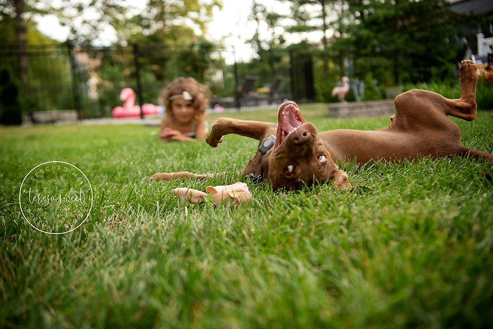 Happy Rescue Dog Photography