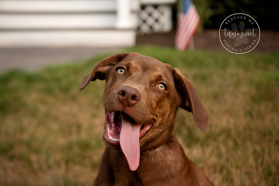 Rhode Island Animal Photography Animal Photography
